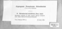 Image Associated With the Occurence